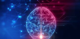 İnsanlık bir milyon yıl sonra neye benzeyecek? İnsalık 1 milyon yıl sonra neye benzeyecek?