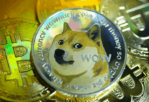 Dogecoin: Şaka amaçlı geliştirilen ve piyasa değeri 52 milyar doları aşan kripto para birimi Doge Coin Yükselişi