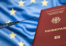 Aşı Pasaportları Hakkında Bilmeniz Gerekenler Aşı Pasaportu