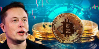 Elon Musk’tan hükümetlere kripto para tavsiyesi Bitcoin Elon Musk