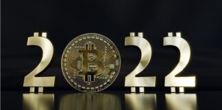 Einstein’dan Daha Fazla IQ’ya Sahip Olan 12 Yaşındaki Çocuk, Ailesinden Hediye Olarak Kripto Para İstedi Bitcoin